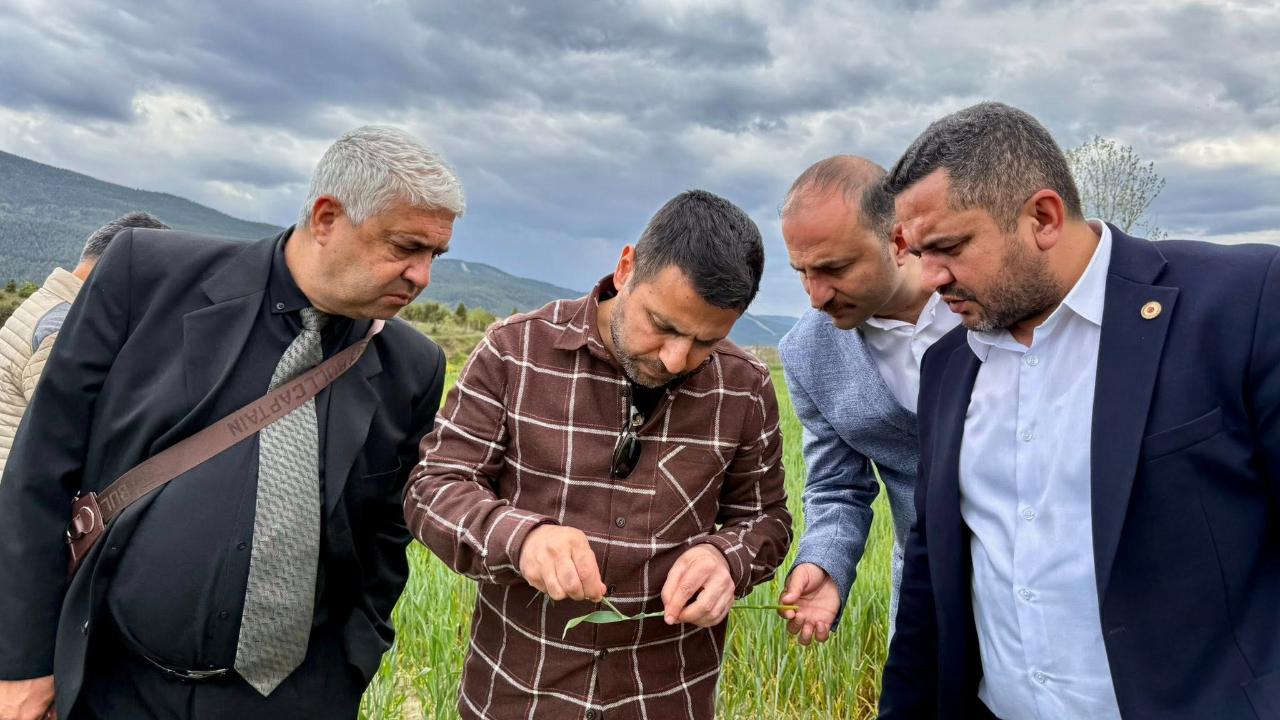 İlçede örtü altı tarım için eğitim seferberliği