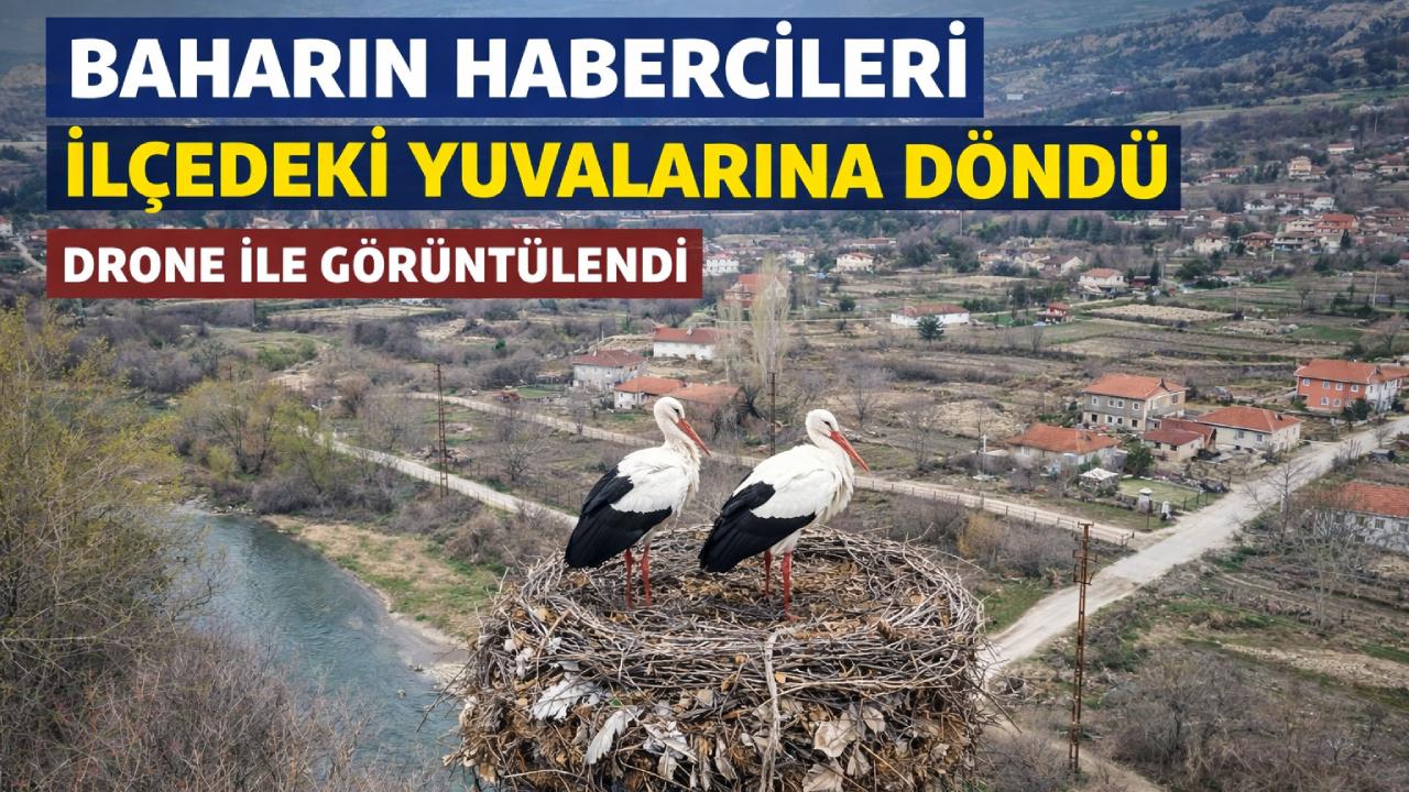 İlçeye bahar geldi: Leylekler müjdeledi