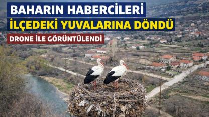 İlçeye bahar geldi: Leylekler müjdeledi