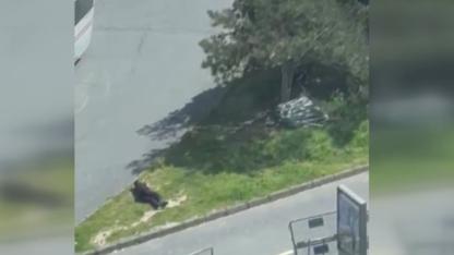 İsrail Konsolosluğu yakınından bir şahsın vurulduğu anlar böyle görüntülendi