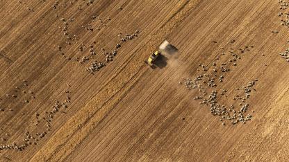 Kırsal Kalkınma Yatırım Programı 2026 başvuru dönemi başladı