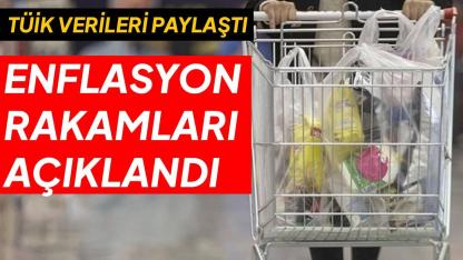 Mart ayı enflasyon rakamları açıklandı