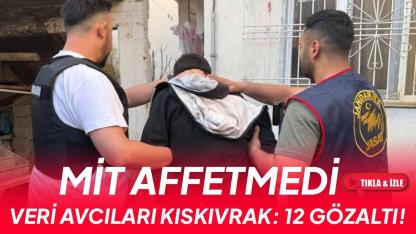 MİT'ten siber suç şebekesine operasyon: 12 gözaltı