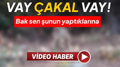 Önce karnını doyurdu sonra kaçtı