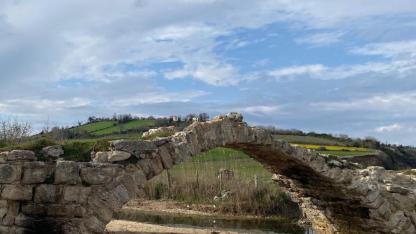 Dalgalara direndi, bakımsızlığa yenildi