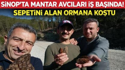 Sinop’ta hafta sonu tatili mantar avına dönüştü