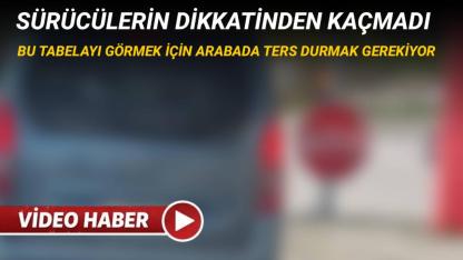 Sinop’ta trafik lambasında ilginç görüntü