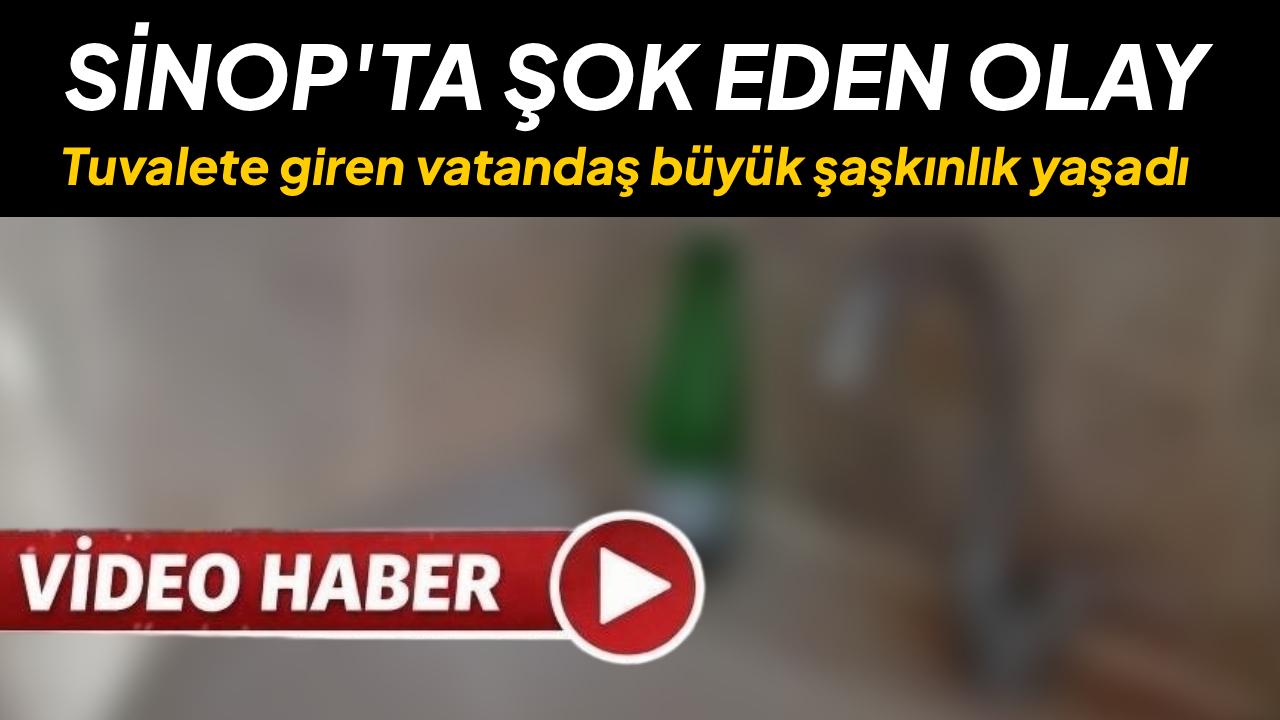 Vatandaş gördüklerine inanamadı: "Yazık"