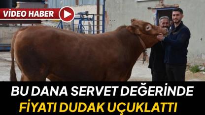 Görenler telefonuna sarılıyor: Bu ağırlık ve fiyat şaka değil