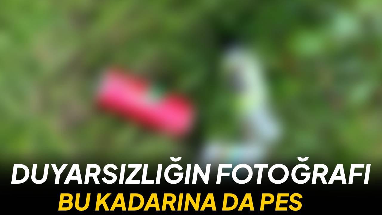 Sinop’un kalbinde utandıran görüntü