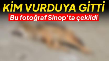 Tavuk peşindeyken canından oldu