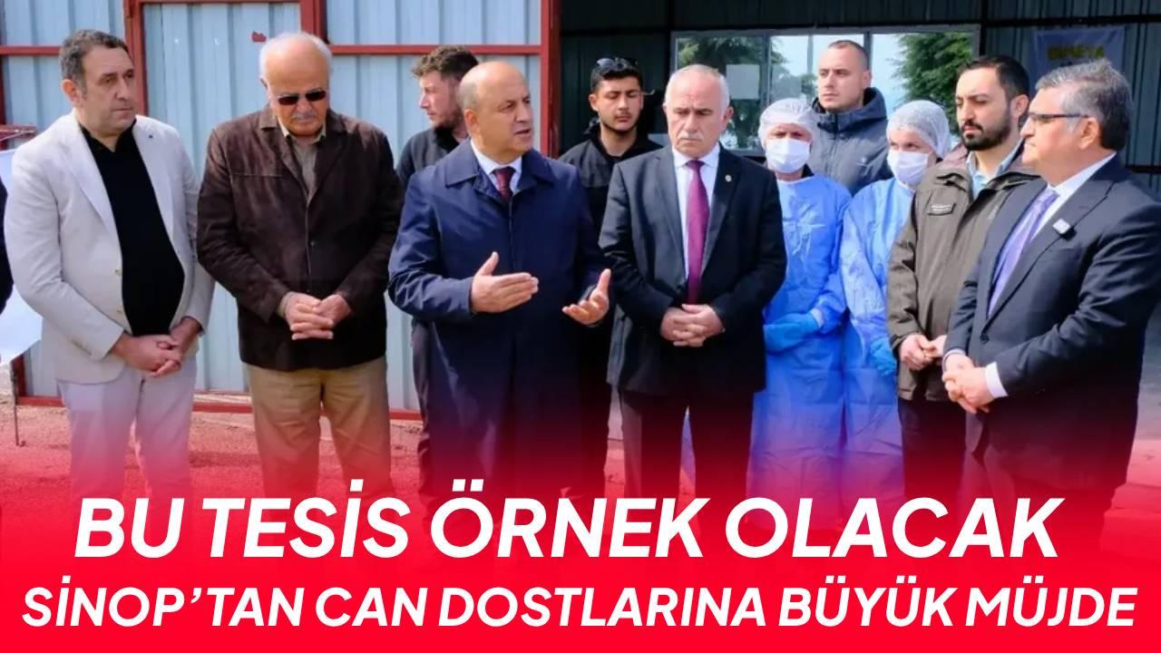 Sinop’ta can dostlarına ekonomik ve sağlıklı mama: Maliyet 40 TL’den 2,5 TL’ye düştü
