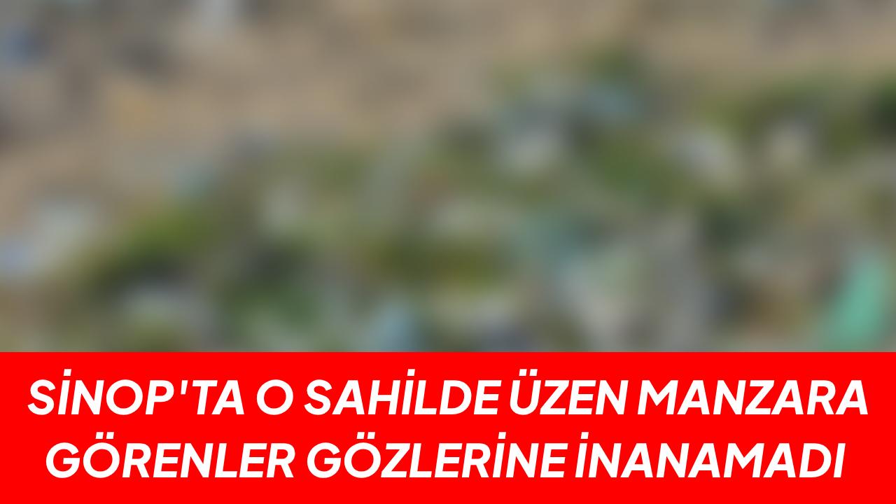 Sezon kapıda, onlar kıyıda