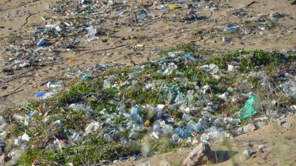 Sezon kapıda, onlar kıyıda