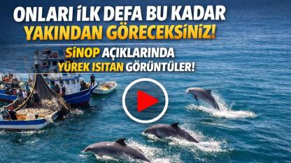Sinop açıklarında dolaşan yunus dronla görüntülendi
