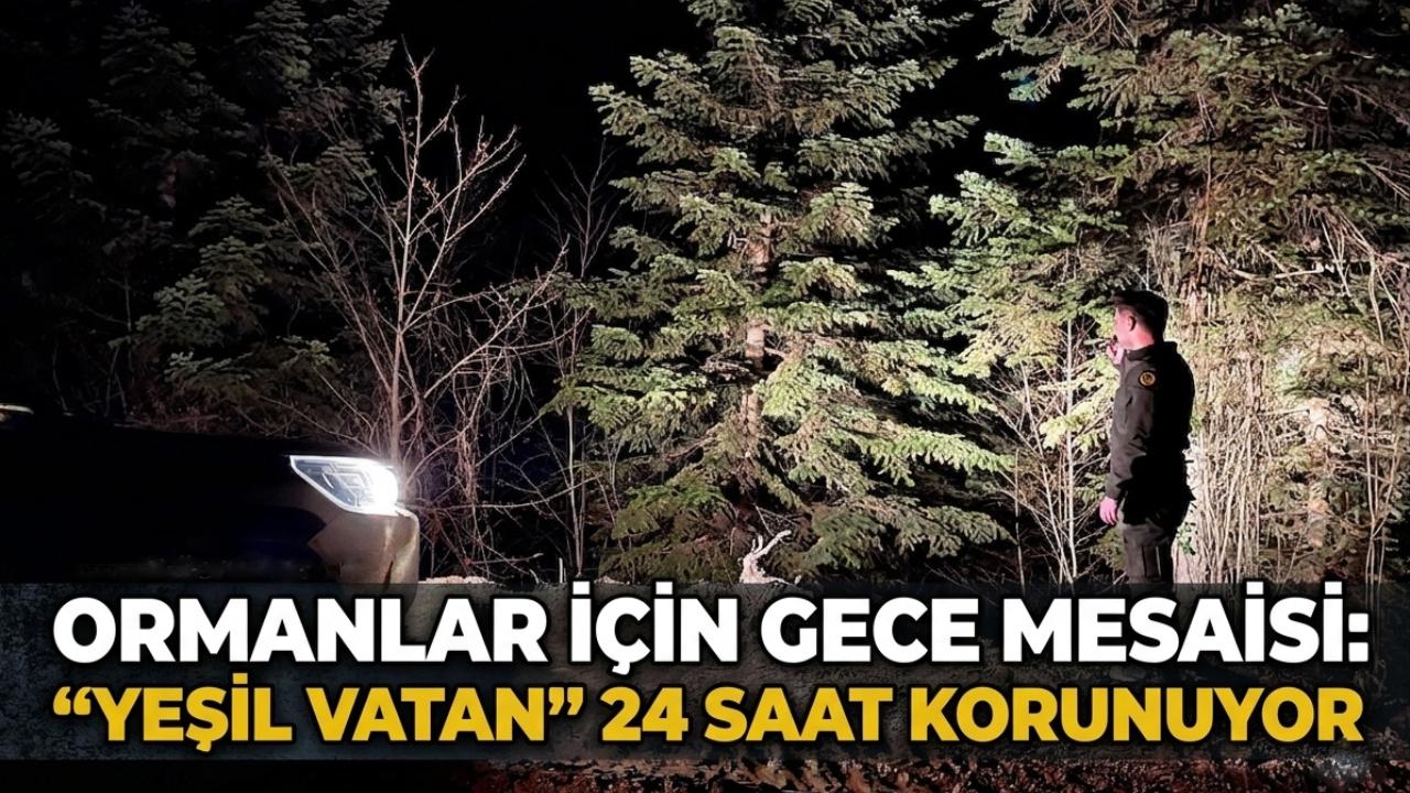 Sinop ormanları 7/24 koruma altında