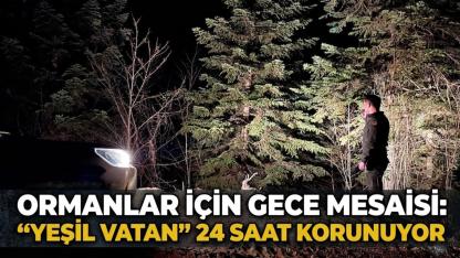 Sinop ormanları 7/24 koruma altında