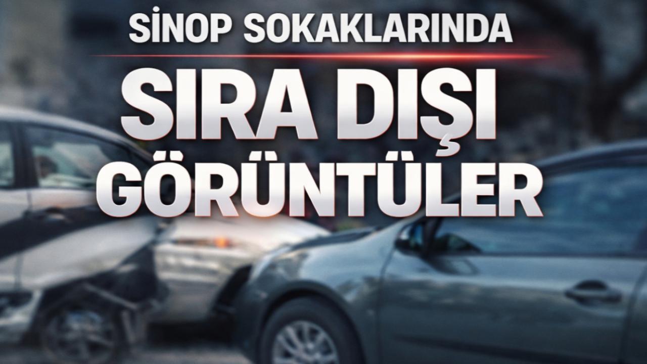 Sinop’ta araçların üstünü mesken tuttular