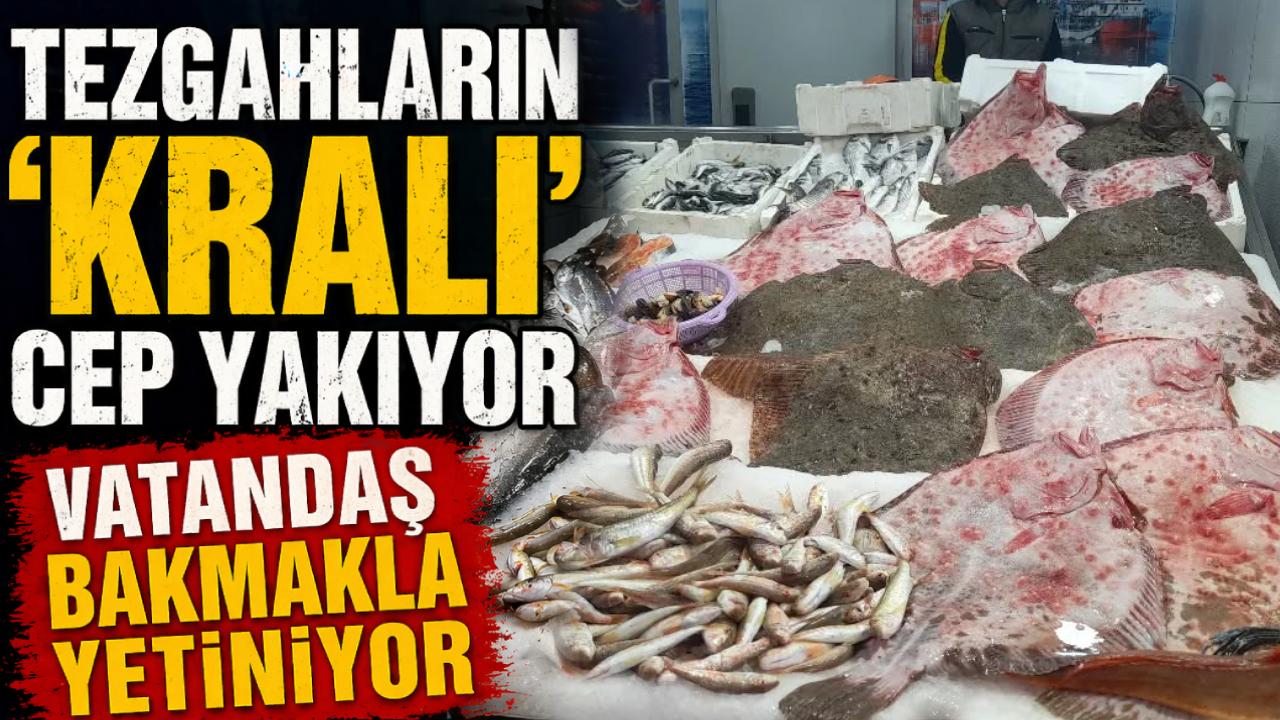 Sinop’ta av yasağı balık çeşitlerini azalttı, fiyatları artırdı