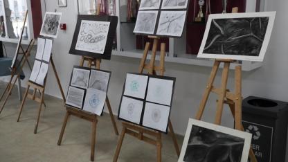 Sinop'ta bitkilerin dünyası tuvale taşındı