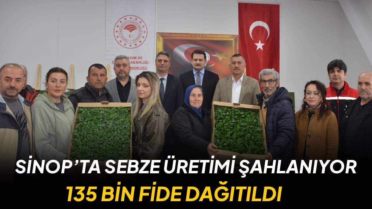 Sinop’ta çiftçinin yüzü gülüyor: 135 bin fide üreticilere ulaştırıldı