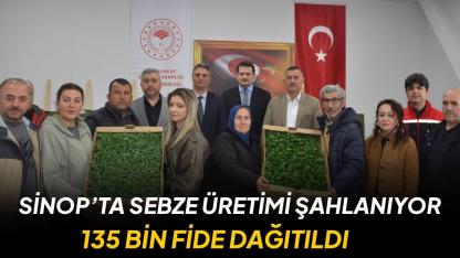 Sinop’ta çiftçinin yüzü gülüyor: 135 bin fide üreticilere ulaştırıldı