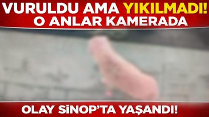 Sinop'ta ekiplerin müdahalesi sonuçsuz kaldı