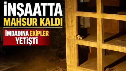 Sinop'ta inşaatta mahsur kalan köpeğe hayat kurtaran müdahale