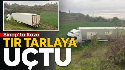 Sinop'ta kontrolden çıkan TIR tarlaya uçtu
