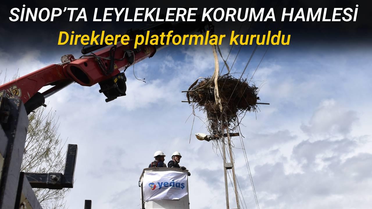 Sinop’ta leyleklere güvenli yuva