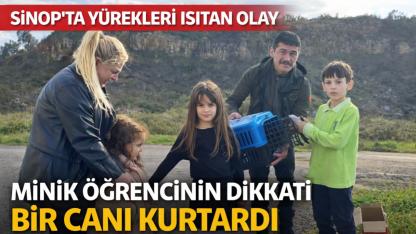 Sinop'ta minik öğrenciden yaralı güvercine şefkat eli