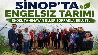 Sinop’ta özel gereksinimli bireylerden fide dikimi etkinliği