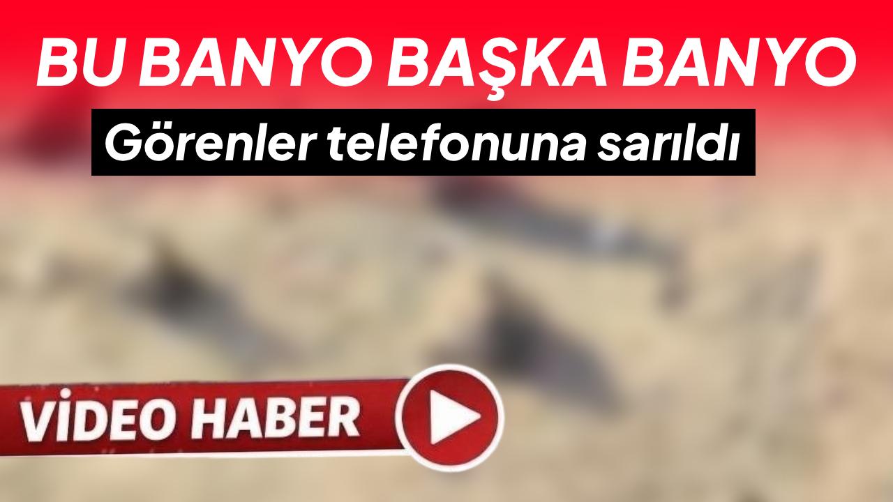 Sinop’ta serçelerin kum banyosu kamerada