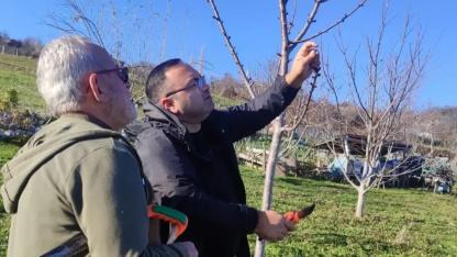 Sinop’ta üreticilere uygulamalı tarım eğitimi