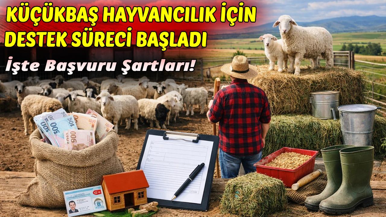 Sinop’ta üreticilere yeni destek paketi