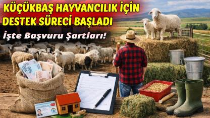 Sinop’ta üreticilere yeni destek paketi