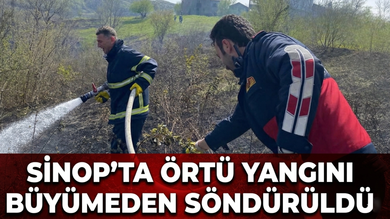 Sinop'ta yangını paniği! Ekipler seferber oldu