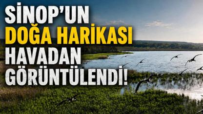 Sinop’un saklı cenneti baharla birlikte canlandı