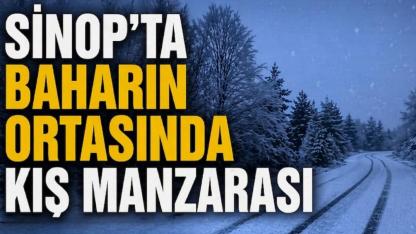 Sinop’un yüksek kesimleri yeniden beyaza büründü