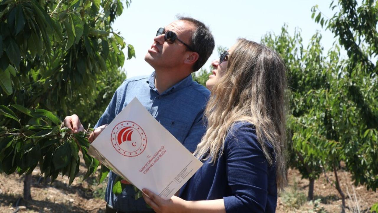 TBMM Zirai Don Olayını Araştırma Komisyonu taslak raporunu tamamladı