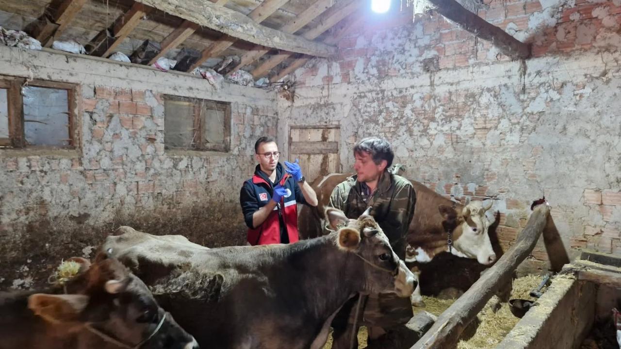 Türkeli’de hayvan sağlığı İçin ekipler sahada