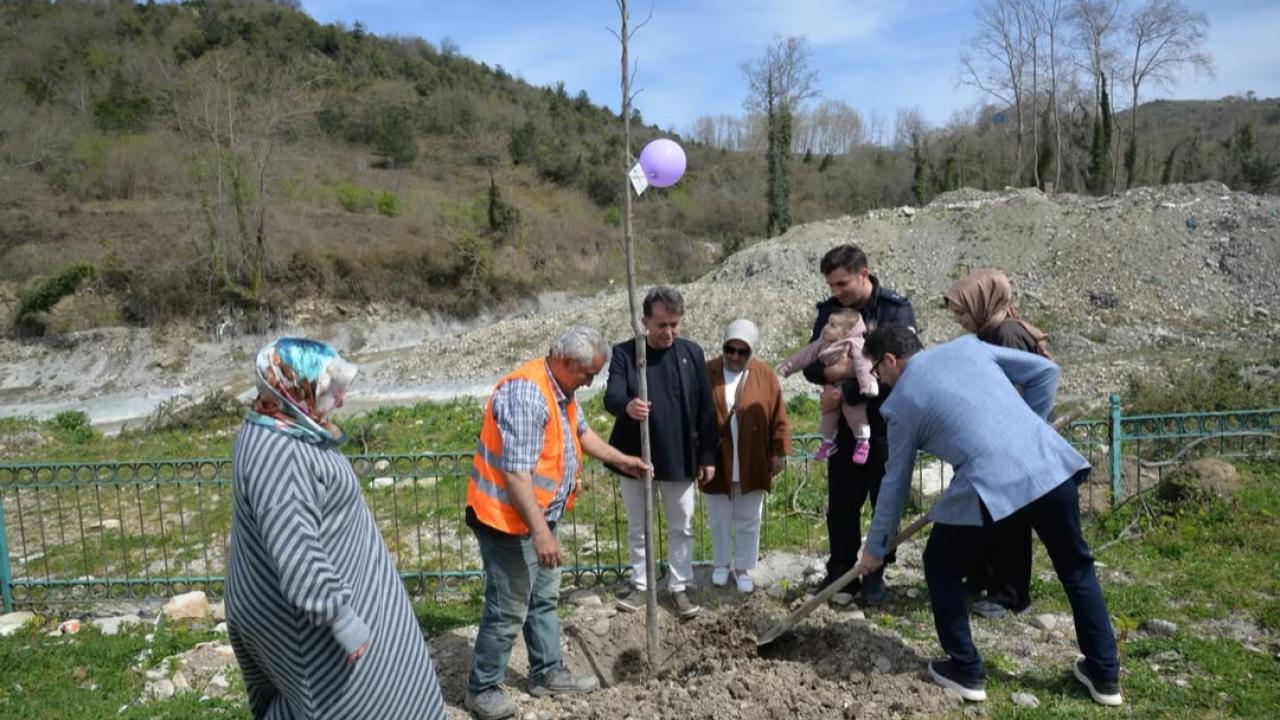 Türkeli’de her bebek bir fidanla büyüyecek