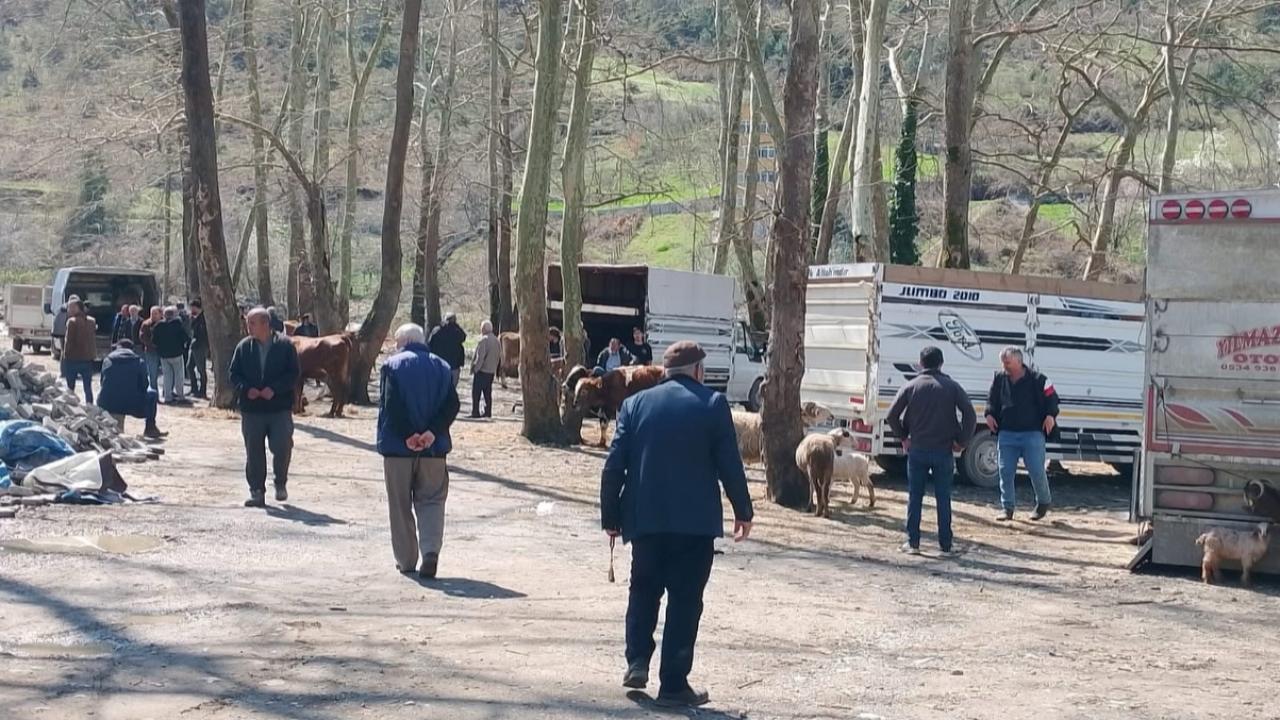 Türkeli’de kurban mesaisi erken başladı