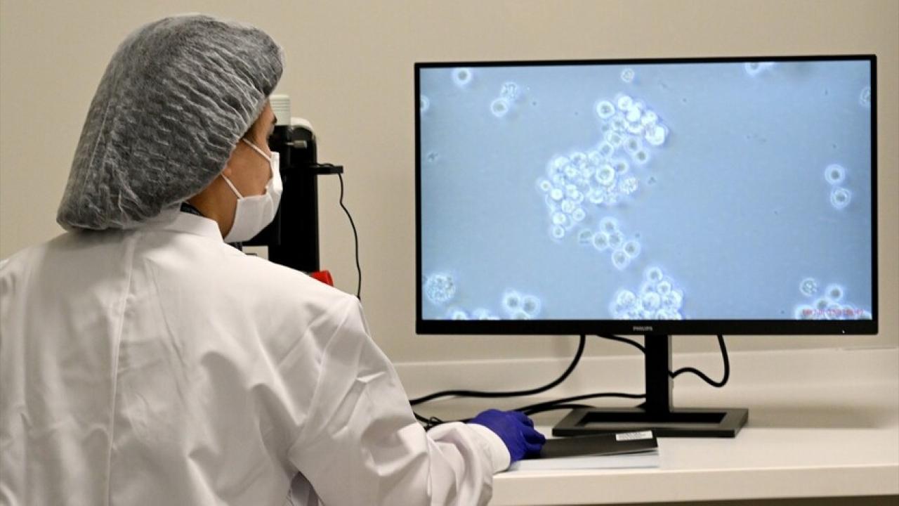 Türkiye’de kan kanseri için hücre tedavisi başladı