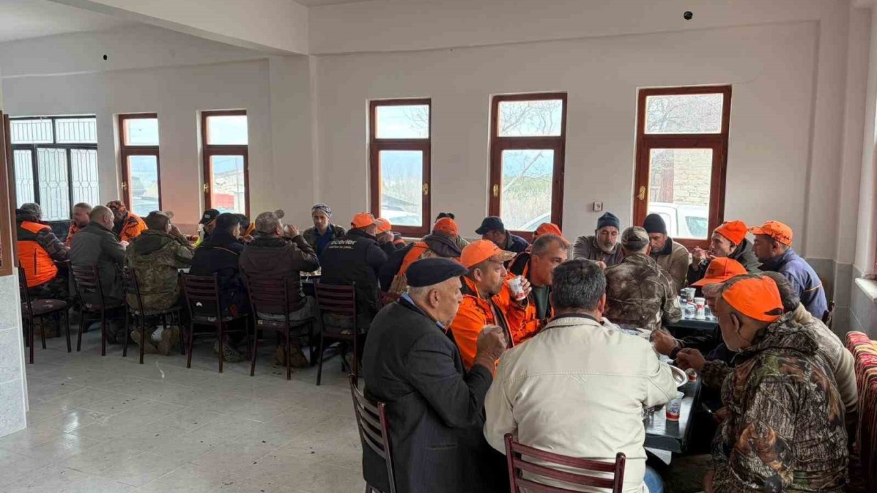 Yaban domuzlarına karşı sürek avı