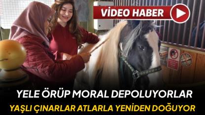Yaşlılar için atla terapi dönemi başladı