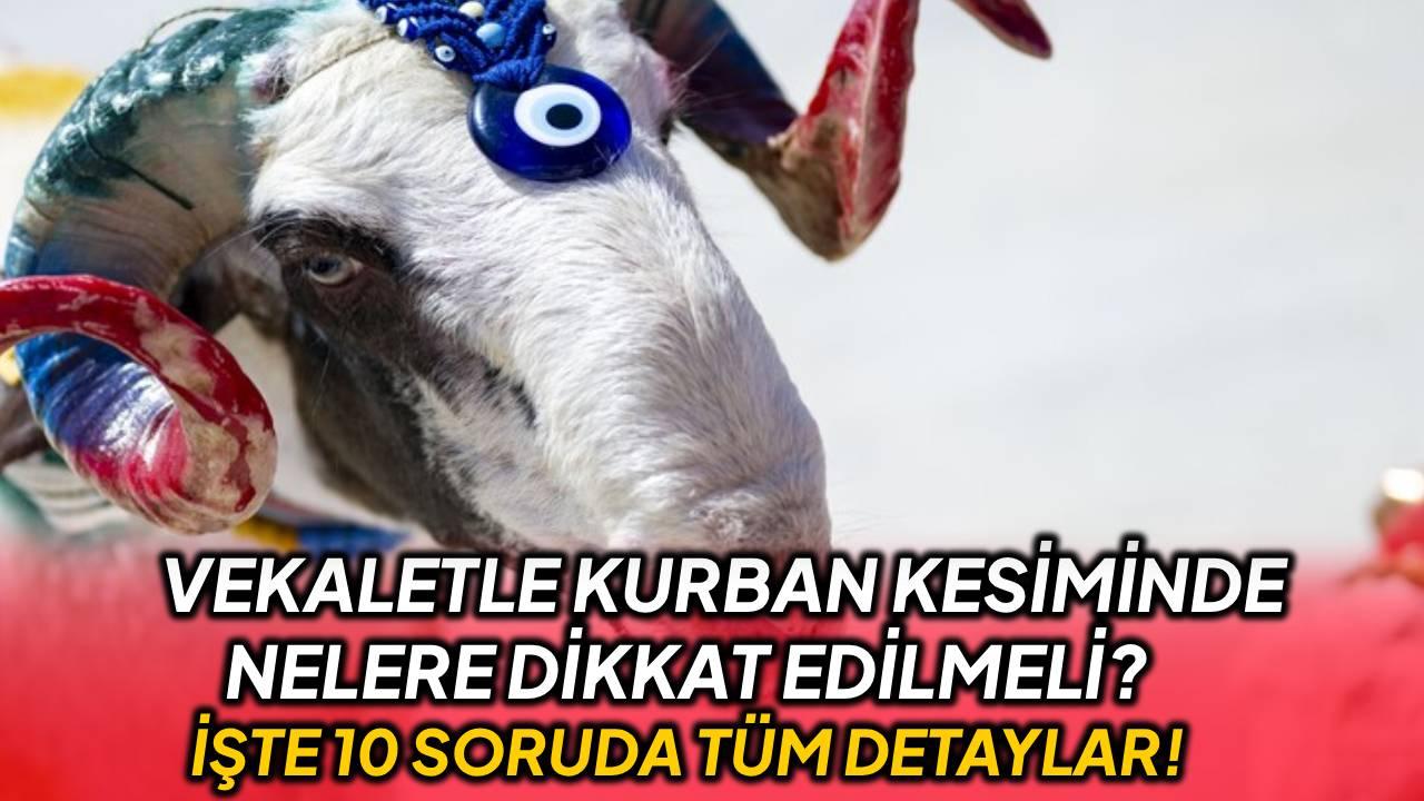 10 soruda vekaletle kurban kesimi