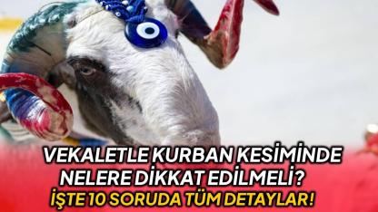 10 soruda vekaletle kurban kesimi