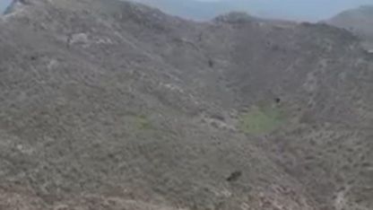 Şırnak’ta kartalın domuz avı kamerada