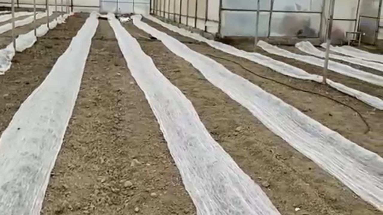 Don uyarısına karşı seracılardan tüllü önlem